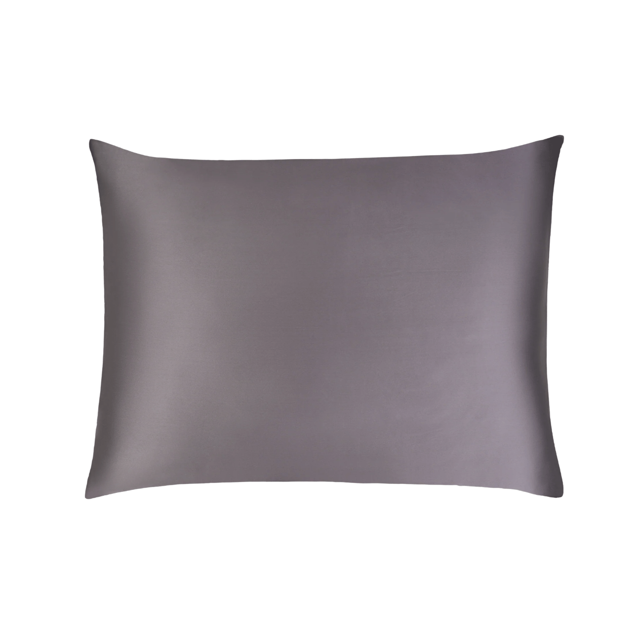 Silk Beauty Kussensloop - Moonlight Sheen